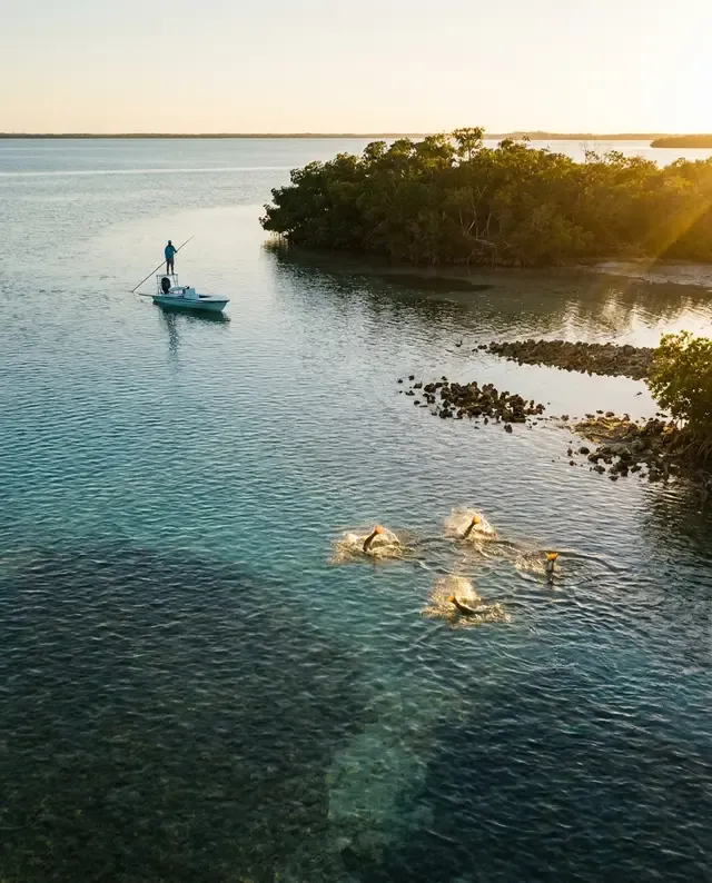 A skiff poled across a clear saltwater flat at golden hour beside a mangrove shoreline, redfish tailing in the shallows.
